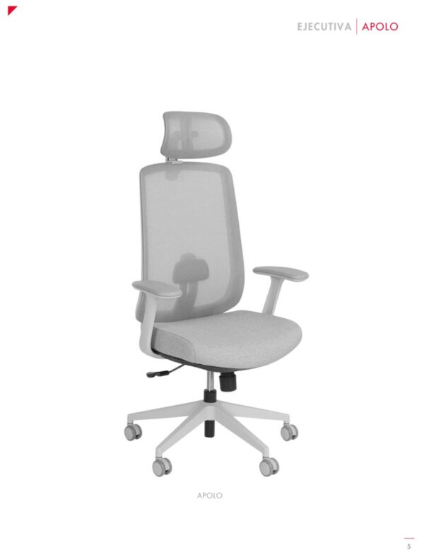 Silla APOLO